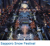 Sapporo Snow Festival